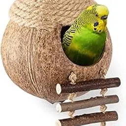 Coconut Shell Use for Birds Nests and Small Animal House-image-45