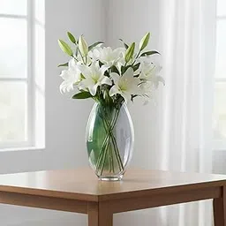 GALLIVANT Oval Glass Vase - Transparent Flower Vase for Home Decoration Items for Living Room 18 inch - Unique Aesthetic Design, Center Table, Home & Office-picture-26