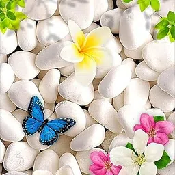 Vida De Jardin Polished White Pebbles Stones for Plant pots, Aquarium/Fish Tank, Decorations, Garden, Tables, and Home Decor (500g, White Stone)-image-8