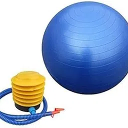 TADU Exercise Gym Ball 65cm with Pump for Exercise, Workout, Yoga, Pregnancy Gym Ball-picture-46