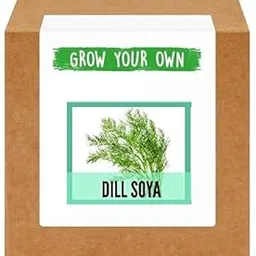 VibeX Dill/Soya-350 Seeds image 1