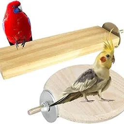 Sage Square Bird Wooden Circle & Stand Platform Combo of Two (2 * 5.5 & 4 inches) Rectangle & Cirle Shaped Perch Stand, Cage Accessories Playful Toy, Suitable for Birds, Parrots, Budgies-image-83