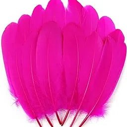 Tdas 50+ Pcs Natural Dyed Goose Feathers for Craft 6-8 inches Arts Fluffy Dream Catcher Making kit for Decoration Projects Earrings Colourful for Kids Handmade Wedding Home (Pink)-image-29