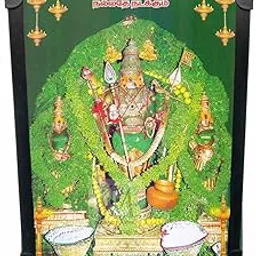 MARUTHAPPAR Thiruchendur Murugan Photo frame | Murugan photo frame | pachai sathi murugan Photo | திருச்செந்தூர் முருகன் பச்சை சாத்தி 6x4inch Small Size-picture-21