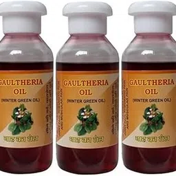 Gaultheria Oil (Joint Pain oil) Winter Green Oil, 60 ml Combo Pack of (3) image 1