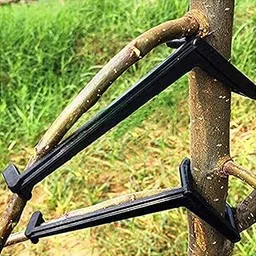 Generic 10Pcs Fruit Tree Branches Holder Plant Support Fruit Branch Spreader Tree'-picture-30