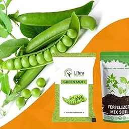 Green Pea Seeds for Planting | Farming | Home | Garden | Kitchen | Vegetable | Hybrid | Terrace | Balcony | Eating | Pisum Sativum | Vatana | Mutter | Watane - 50 Gram : 279 Seed-picture-23