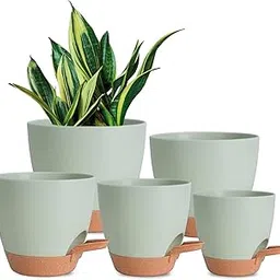 INKULTURE Self Watering Planters for Indoor Plants – 5 Pack Plastic Plant Pots with Drainage Hole & Watering Lip, Multi-Size(7/6.5/6/5.5/5 Inch) Flower Pots for Succulents Etc – Green-picture-39