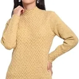 global republic Knit Regular Fit Turtle Neck Full Sleeves Pullover for Women-picture-39