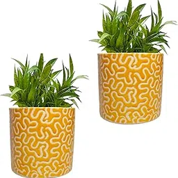 Ceramic Plant Pot with Yellow RD-1 Pipe Modern Pattern, 4X 4 in, Decorative Indoor Planter GH0022-09_Packof2 image 1