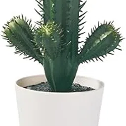 FEJKA Artificial Potted Plant – Mini Cactus, 14cm Height – Indoor/Outdoor Faux Succulent in Recycled Plastic Pot – Realistic, Low Maintenance Home or Office Decor – 6cm Pot Diameter-picture-30