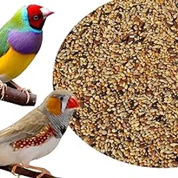 COLOURFUL - Natural & Healthy Premium Birds Food for Sparrow,Silver Bill, Finches & Java | Daily Birds Food Seed Mix (900g)-picture-11