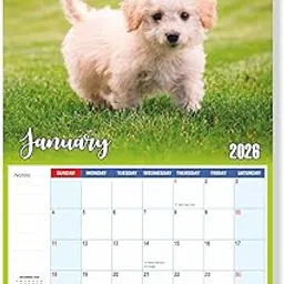 Zoozo Artz 2026 Wall Calendar – Cute Dog Decor Theme with Puppies & Pet Photography | 12 Sheeter Hanging Monthly Planner | Premium 130 GSM Art Paper, Spiral Binding | Size 12.5 x 18.75 Inches(Z08)-picture-16