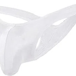 ribald the neech Men's Thong Microfiber Brief Underwear-picture-57