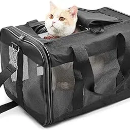 KIKA Pets SPRINGFRAME Carrier Dog Carrier Soft Sided Pet Travel Carrier for Cats, Small Dogs, Kittens or Puppies, Collapsible, Durable, Airline Approved, Travel Friendly Black (M)-picture-24