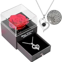 TIED RIBBONS Valentine Gift for Girls Girlfriend Wife Mom Girls Women Friends Anniversary Wedding Valentine Gift Preserved Red Rose Flower Box with I Love You in 100 Languages (Silver Necklace)-image-55