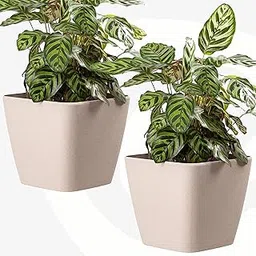 Eha Set of 2 Earth-Friendly Daisy 7" Self-Watering pots and Planters | Bamboo Based | UV Protected | for Indoor, Home Decor, Outdoor, Balcony & Garden | Sand Castle-image-24