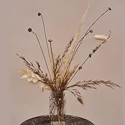 Indosfera Dry Flowers Mini Bouquet DIY Kit | Ornate-picture-59