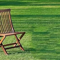 Vinod Handicraft Sheesham Wood Folding Garden Chair for Home Set of 2 Pcs. (Natural)-image-39