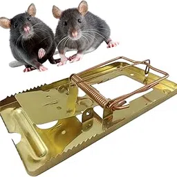 Mastertrap Professional Metal Mouse Trap – Reusable & Instant Kill | Pack of 2 Rat Snap Traps for Effective Pest Control Indoors & Outdoors-picture-11