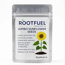 RootFuel Jumbo Sunflower Seeds for Home Garden | Up to 8 Feet Tall Plants | Fast Germination | Decorative & Pollinator Friendly | Ideal for Balcony & Backyard Gardening-picture-20