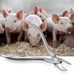 Bethlehem Piglet Teeth Cutter, Pig Teeth Cutter Simple Operation Easy to Clean and Durable Premium Stainless Steel Material for Home for Daily for Piglets for Farm-picture-24