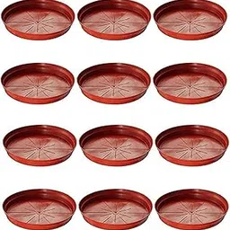 Plants Point Plastic Saucer Base Plate Planter Tray, Terracotta, 4 Inch, Set of 15-picture-18