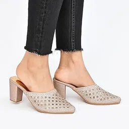 indiforce Women Heel Sandal-picture-31