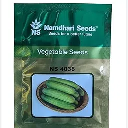 NAMDHARI SEEDS NS 4038 CUCUMBER-picture-29
