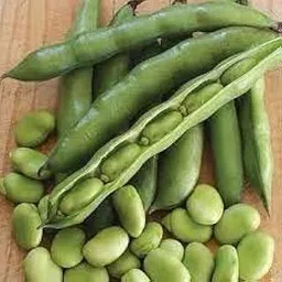 BAKLA SEEDS / F1 HYBRID/PACK OF 20 / बाकला का बीज/FAVA BEAN/FOR GARDENING BY NOHA MERCADO-picture-28