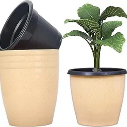 Livzing 10 Inch Plant Pot Pack of 5 (10 Pots) | Self Watering Indoor Pot | Sandal Dot Outer and Black Inner Flower Pot | UnFadable - Low Maintenance Gamla | Suitable for Home Indoor and Balcony Plants-picture-18