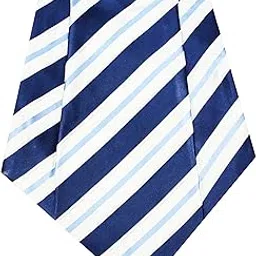 leonardi Mens Cravat | Color - Blue & White Strips | pack of 1 | Size -12 x 9 inches | tweed fabric | Microfiber | Superior finishing | Packaging – White box |-picture-44