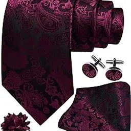 gusleson 3.15"（8cm） Mens Paisley Necktie Hankerchief Cufflinks Lapel Pin Set for Men-picture-58