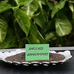 The Entacloo XXL-689 - Vermicompost 100% Homemade Organic Compost for Plants - 3Kgs-ay-554-picture-16