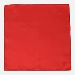 van heusen Mens__Neck Tie_Pocket Square_Cuff Links_(VHTCGRGSS000310_Red)-picture-56