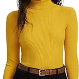 icw Women Knit-Rib Stretchable Turtle Neck Full Sleeves Winter Pull Over TopDN 414-picture-14