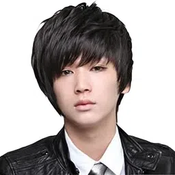 Rise World Wig Cool Mens Boys Short 25cm Straight Black Hair Party Heat Resistant Cosplay Wig-picture-39