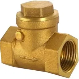 Pmw - Non Return Brass Check Valve Horizontal - Pack of 1 (3/4")-picture-63