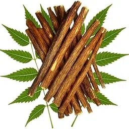 Premium Natural Neem Datun – Teeth Cleaning Sticks – 100% Pure, Neem Datun Sticks for Teeth, Datun Stick for Teeth Cleaning, Fresh Breath, Neem Toothbrush, Pack of 15-image-7