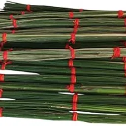 Grow avadh Dharbha Kusha Grass Bundle for Pooja Karma, 5 Long Size Dry Grass Bundles with Moli Dhaga-image-24