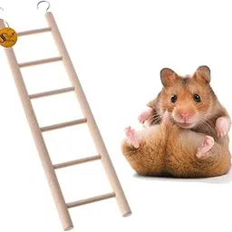 Sage Square Playful Natural Wooden Climbing Ladder Toy for Exercise & Fun, with Hooks, for Hamsters, Sugar Glider, Dwarf, Rat, Mice, Gerbil. (Design 4)-image-14