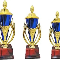 Trophy Award, Blue and Gold, Winner Recognition, Achievement Prize Pack of 3 (Size - 12Inch/11.5" Inch/9.75" Inch)-picture-22