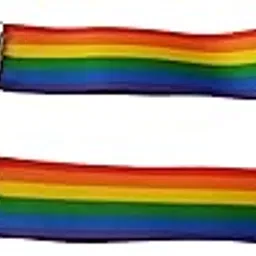 morningvale LGBT Wristlet Keychain Badge Holder Multicolor 7 inch Pack of 2 Gay Lesbian Pride Rainbow on Amazon-picture-18