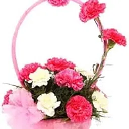Floralbay Valentine's Day Special Fresh Flowers Special Basket Arrangement of 8 Pink Carnation and 3 White Carnation (Bunch of 11)-image-21