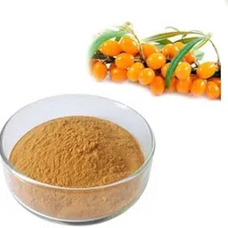 Gifts of Nature Organic Sea Buckthorn Berries Powder - 100 gm | Sea Buckthorn Powder Best Source of Natural Vitamins & Phytonutrients-picture-14