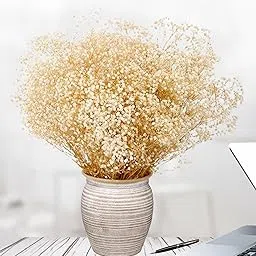 Dried Babys Breath Flowers Bulk - 17" Ivory White Dried Flower Bouquet, 2000+ Real Natural Gypsophila Branches for Vase Filler, DIY Wreath Floral, Crafts, Wedding, Table Centerpiece, Home Decor,-image-31