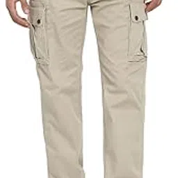 american eagle Men's Regular Casual Pants image 1