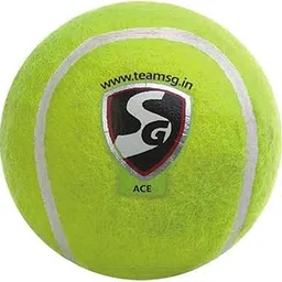 SG Cricket Balls ACE (Light) *-image-11