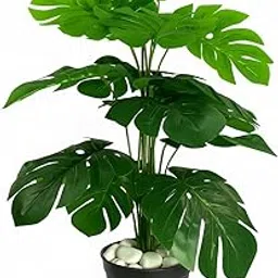HOMOREE Artificial Plants for Decoration – Premium Potted Artificial Plants for Home & Office Decor – Realistic Fake Plants for Living Room, Bedroom, Tabletop & Indoor Decoration with pebbels ⏐2ft-image-18