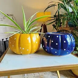 Niyara Small Combo Ceramic planters Pot for Home Garden Balcony (Pumpkin Combo Set of 2)-picture-38